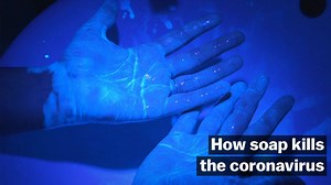 This is how soap – any kind of soap – literally annihilates coronavirus. Just remember to wash your hands for at least 20 seconds. | Vox