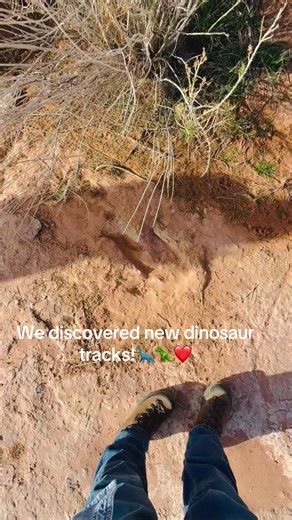 Discovering New Dinosaur Tracks in Tuba City