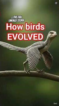 How Dinosaurs Became Birds