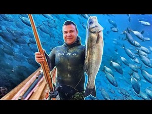 The first beautiful sea bass of the season, and did they enter your area?