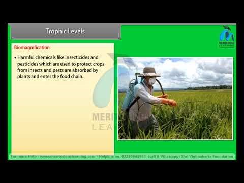 Class 10th SCIENCE | Our Environment | English Medium | Meritorious Learning #onlineclasses