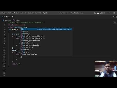 Sumar los elementos de una matriz en c++