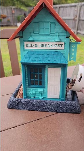 Reset & Refill Bird Feeders #reset #bird #birdfeeder