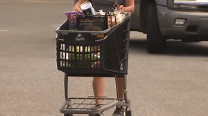 Skirting NJ Bag Ban by Stealing Shopping Baskets