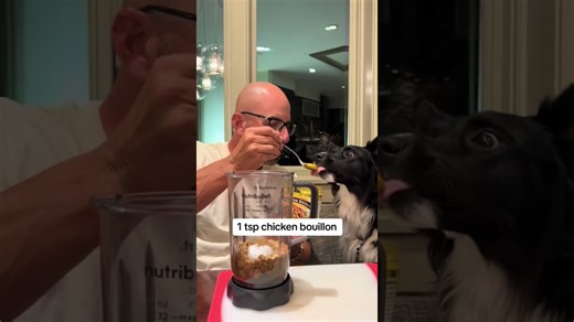 Making our dog a cocktail