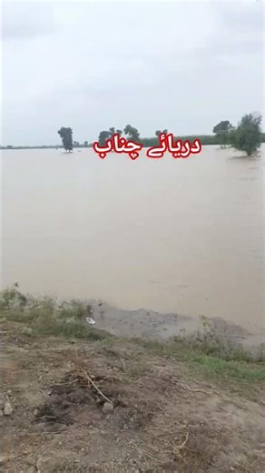 #river river Chanab flood #shorts