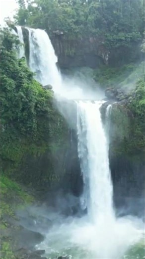 “Double Waterfall in the Virgin Forest • Sounds of Deep Relaxation” 💦🌲🦜 #doublewaterfall #birdsound