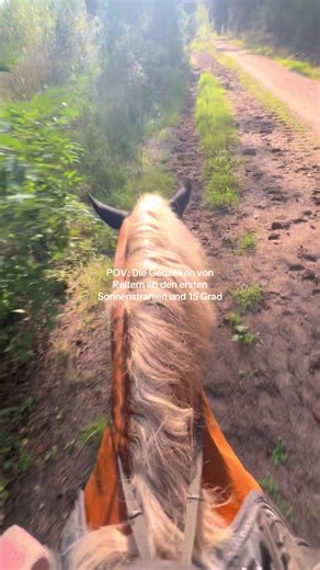 Die Gedanken von Reitern im Sommer