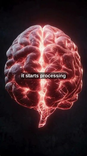 Your brain won’t shut up at night for this reason