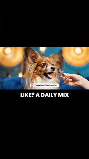 Dog Reveals HILARIOUS Secrets About Its Human! 🐶😂 | Funny Pet Interview #viral #shorts