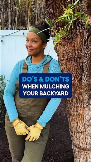 Mulching tips to get your garden ready for spring 🌱🙌 #Shorts