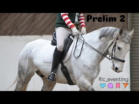 Prelim 2 2024 - unafilliated dressage at Washington Riding centre