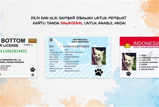 Pet Identity Card Generator