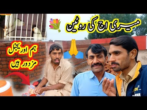 Mery ajj ki routine🐦💐🕊❤#vellasahab #viral