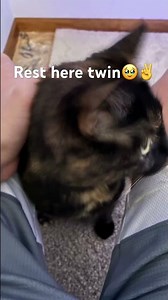 #trollface#troll#trolls#trolled#trollfacesad#trollfacedecepcionado#trollfacememe#trending #rapper