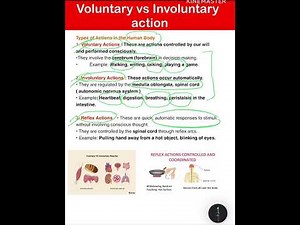 Title: Voluntary, Involuntary & Reflex Actions | Explained with Examples | Science by Galib Sir