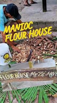 Making Manioc, Tapioca, flour. #howtopreparemanioc #cassava #cruisetour