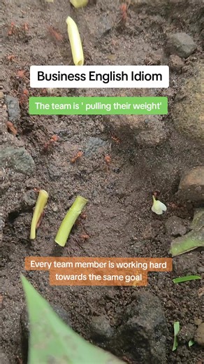 Videos de Emma-English (@emmaenglish5) con “Funk - Kidmada”