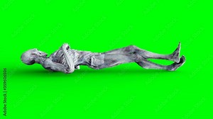 Alien idle. Realistic motion and skin shaders. 4K green screen footage.