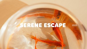 Step into a world of calm, color, and carefree summer moments. 🌿☀️ Serene Escape — where every frame feels like sunshine and joy. 🎞️✨ . . Shop the new summer collection in-store or online at rollover.com.pk #rolloverkids #rolloverkidscompany #rollovercollection #sereneescape | Rollover Kids Company