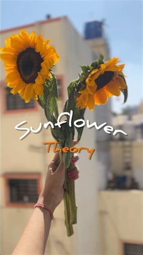 The Sunflower Theory🌻| Real meaning of True Love | #sunflower #tagsomeone #shorts #yt #youtube