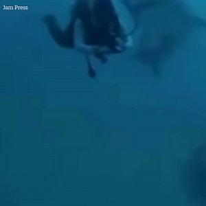 Heart-stopping moment shark tries to attack diver | The Sun