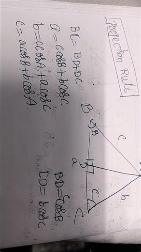 PROJECTION RULE OF PROPERTIES OF TRIANGLES