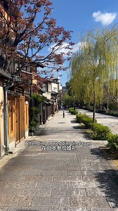 It’s a blessed to attend the traditional wedding in Kyoto🇯🇵 It’s so touching and we literally teared up during the wedding for like multiple time😭 祝maomao新婚快乐，早生贵子🙈新娘子当天美翻了，婚礼好浪漫💕 #kyoto #japanesewedding #japan #wedding #internationalwedding #kyotojapan #nicobonnn | Evonイーボン