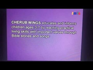 TBN Smile Bumper Cherab Wings