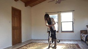 2.3K views · 73 reactions | Learn how to teach your dog to walk with his feet on your feet! This is an easy and really fun trick to train. If you enjoy learning this one, check out our online tricks class starting next week! https://spiritdogtraining.com/online-dog-training/tricks-classes/ | SpiritDog Training | Facebook