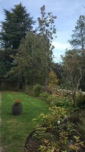 Grab your jousting gear folks, we're exploring castles today! This one's Ruthin Castle in stunning Wales 🏰💚 (sound on for birds singing 🎶) | Love GREAT Britain