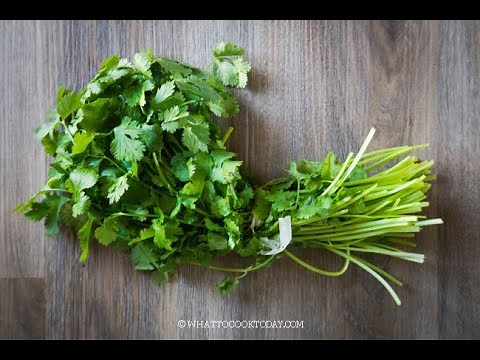 How To Keep Cilantro Fresh (for weeks in the fridge)