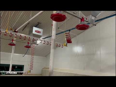 Inside a Modern Broiler House in Northern Ireland | Fancom One Environmental Control