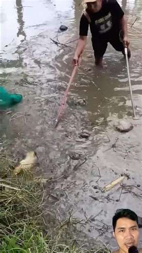 Using an electric shock device to catch fish #fishing