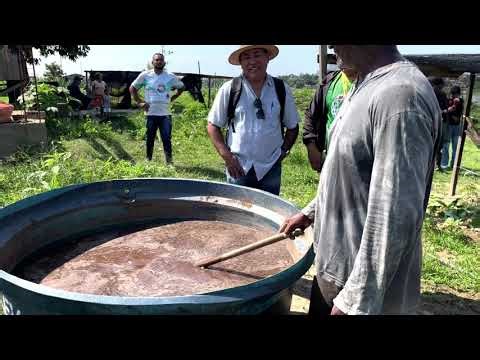 EM BENJAMIN CONSTANT, A VIDA SEMPRE RENASCE MAIS FORTE.