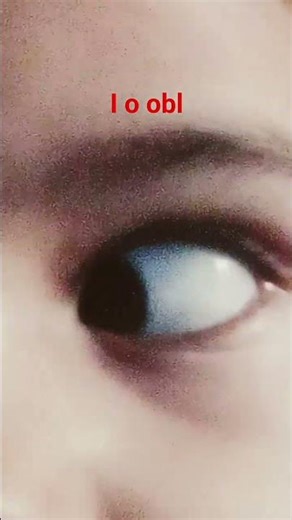 6 de fevereiro de 2026