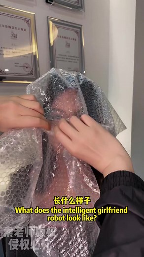 Exploring Innovative Silicone Dolls and Robotics