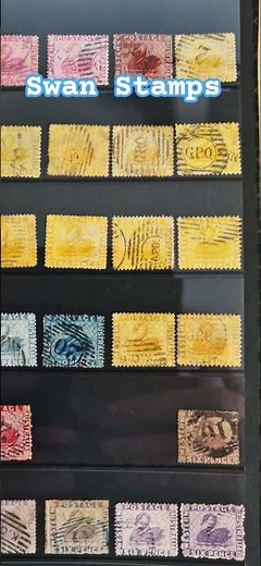 Beautiful Swan Stamps from Western Australia 100+ years old