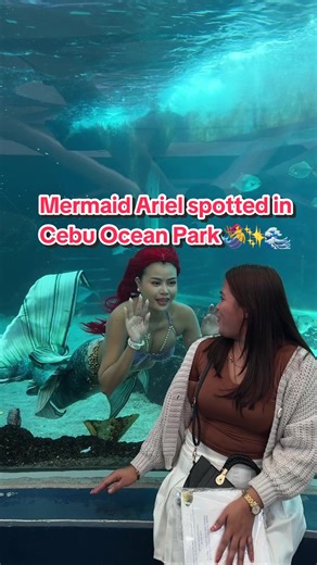 Experience Mermaid Ariel at Cebu Ocean Park