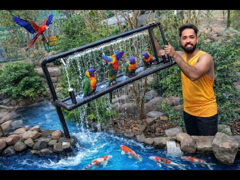 ‘Shower’ made for birds to bathe but 😢 | DIY shower for birds | Fishing Freaks