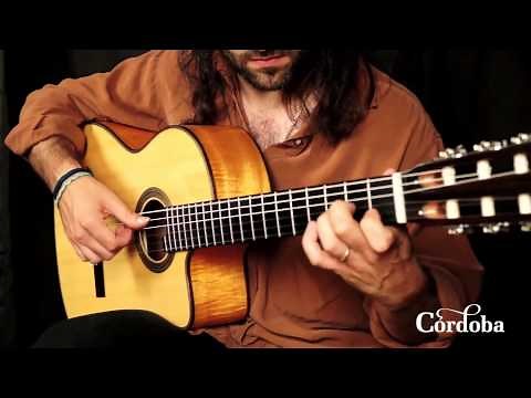 Cordoba Guitars - Fusion 12 Maple