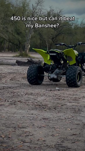 merkbanshee on TikTok