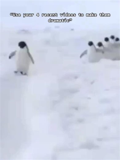 CapCut Tutorial: Creating Engaging Videos with Animals