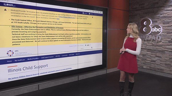 Illinois child support payment platform experiencing technical difficulties