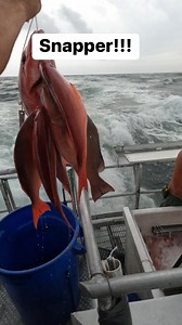 Beautiful Snapper Catch!! #fishing #redsnapper #snapper #fishon #fishing #summerfun #travel | American Spirit Party Boat