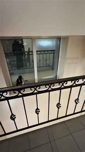 𝓝 on Instagram: "Тик токта 500k просмотр жинапты😂"