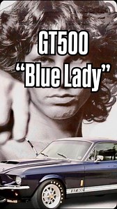 “Blue Lady” 🐍💙 El Shelby GT500 que perteneció a Jim Morrison. Un auto con alma, poder y misterio. El rugido del rock convertido en leyenda. #TheBlueLady #ShelbyGT500 #JimMorrison #TheDoors #LostLegend #ShelbyHistory #MuscleCarCulture #AmericanIcon #ClassicCars #RockAndRollHistory #ShelbyNation #CobrasOnlyGarage #LegendaryCars #LostCars #NightmistBlue #60sVibes #CarLegends #MustangHeritage | Cobras Only Garage