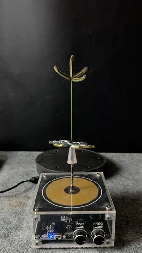 MUSIC TESLA COIL EXPERIMENT#teslacoil #experiment #shorts