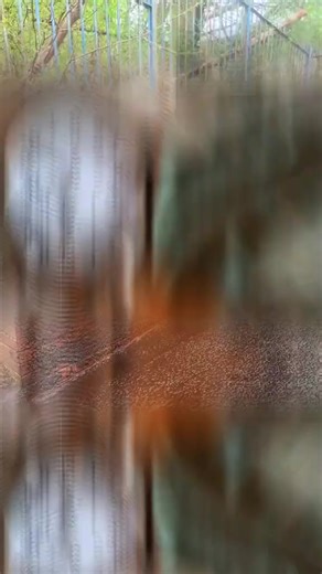 10K views · 120 reactions | Knowledge Hub on Reels | Facebook