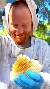 669K views · 8.5K reactions | How do bees make honey #shorts #shortsvideos | সুপ্ত জ্ঞান | Facebook